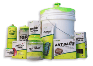 Rescue Pest Control